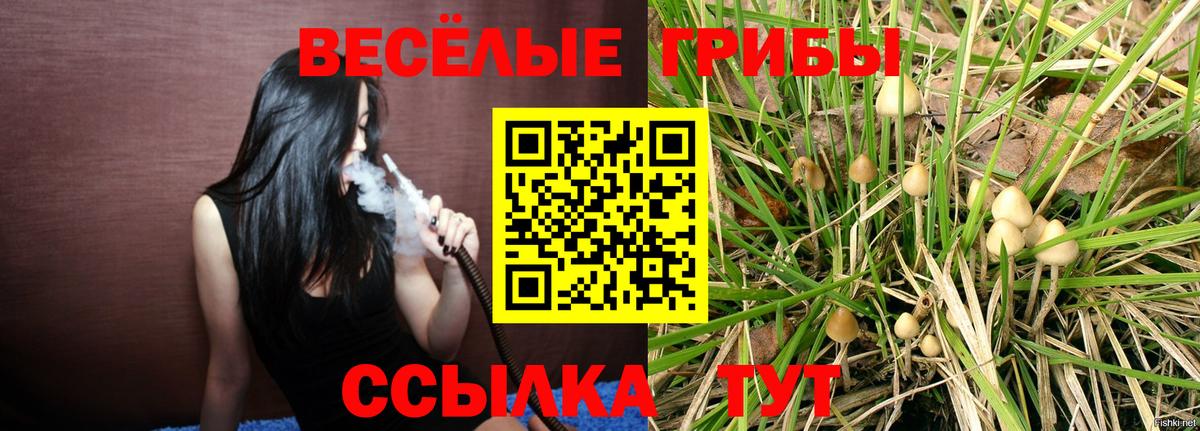 Псилоцибиновые грибы Psilocybe  Псилоцибиновые грибы мицелий  Мончегорск  Вход с VPN 