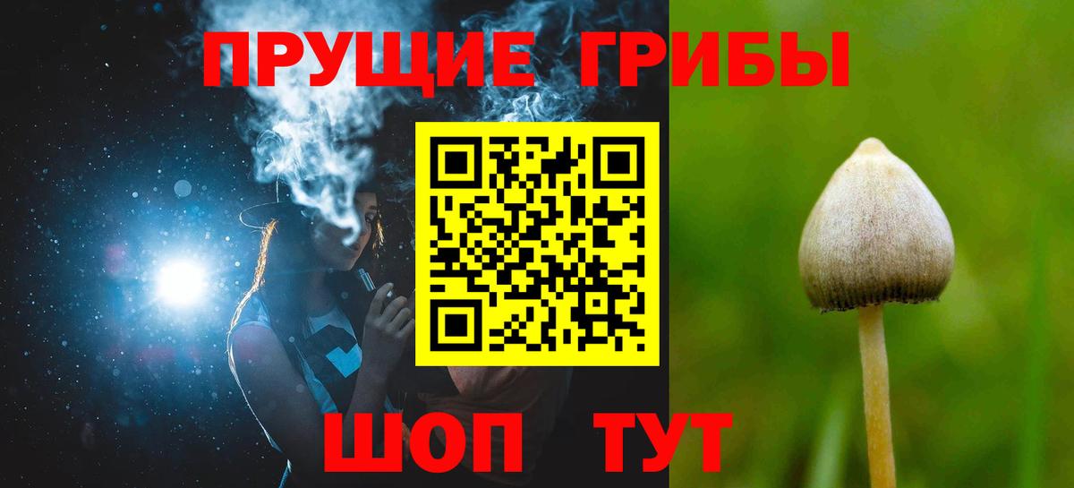 Галлюциногенные грибы ЛСД Мончегорск